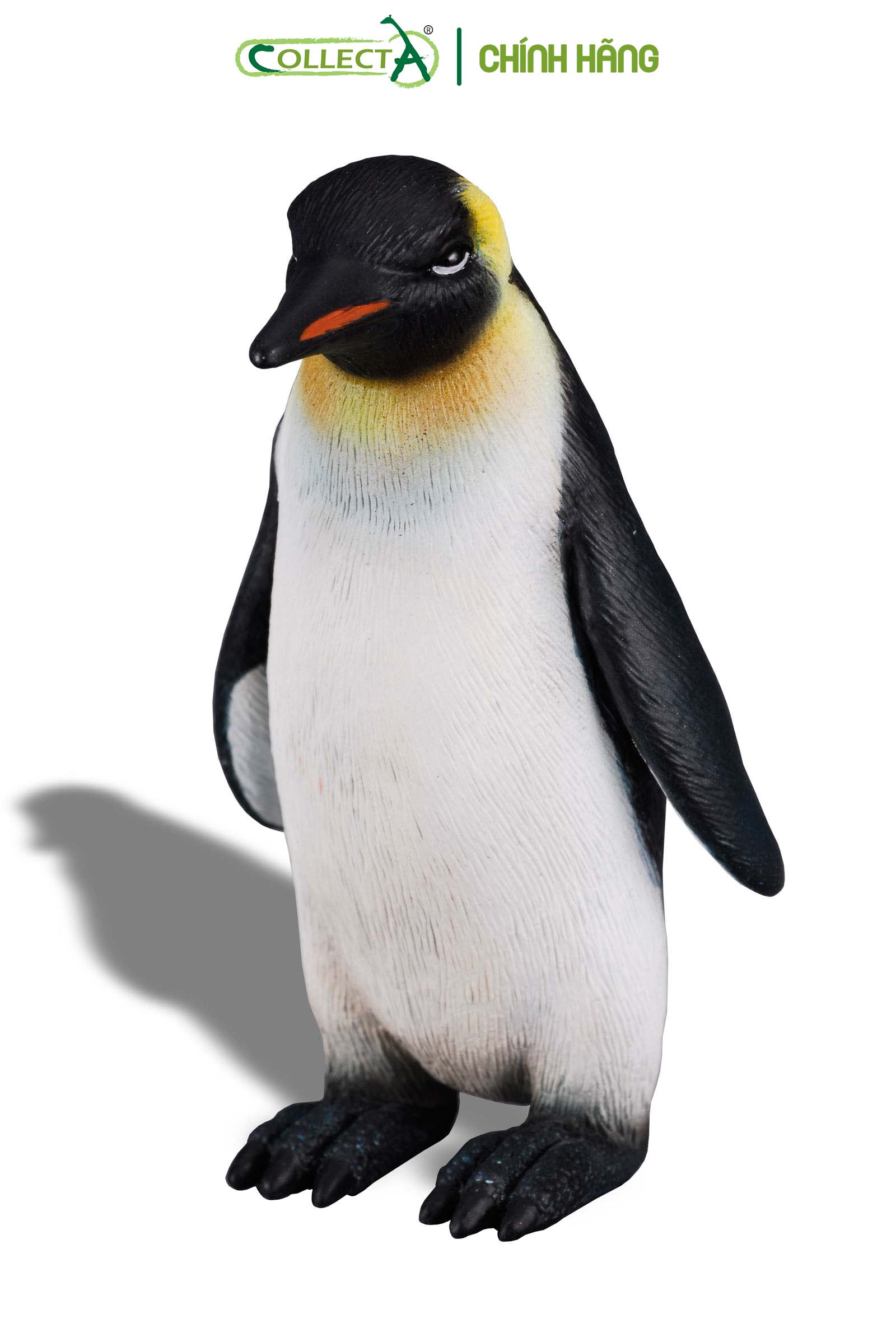 Lịch sử giá Mô hình spheniscidae chim cánh cụt nhỏ như thật mô hình hành  động đồ chơi mô hình động vật biển rắn bằng pvc đồ chơi học tập cho trẻ