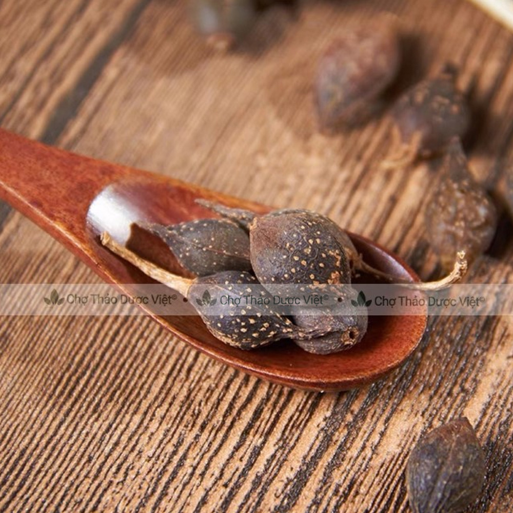 Liên kiều 300g, quả liên kiều, hạ liên tử, khô, thơm, sạch - Chợ Thảo Dược Việt