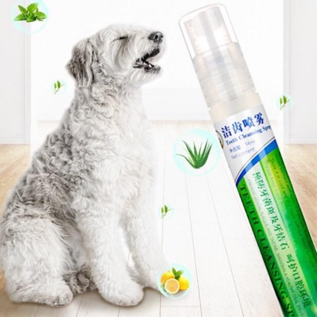 Xịt thơm chống hôi miệng cho chó mèo