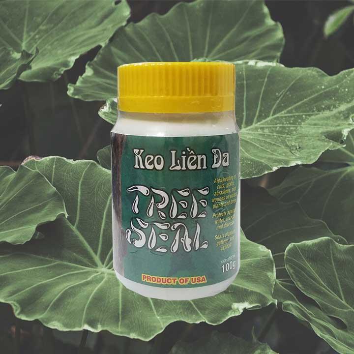 Keo đen liền sẹo da cây lan của Mỹ 100g
