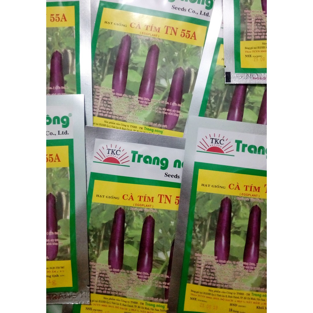 1G - Hạt Giống Cà Tím