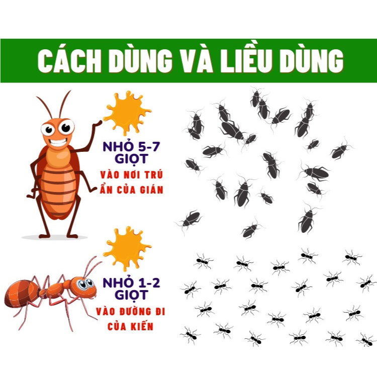 Thuốc Diệt Kiến - Diệt Gián Sinh Học ANBIO