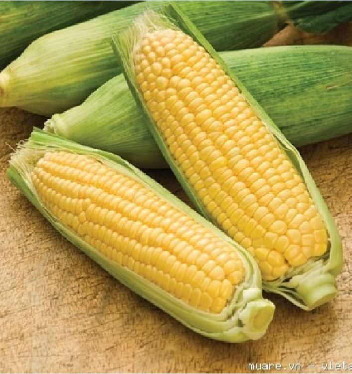 Hạt Giống Ngô Ngọt vàng Thái lan ( 5gr/gói )