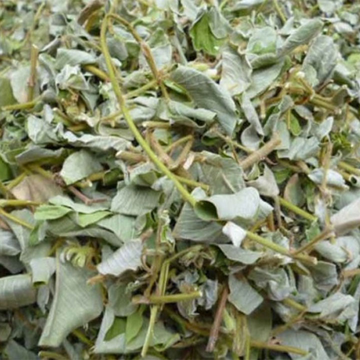Kim tiền thảo khô 1kg