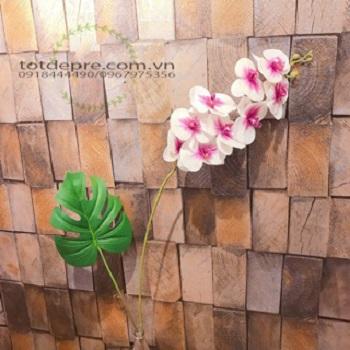 Lan Hồ Điệp - Hoa Giả Siêu Đẹp