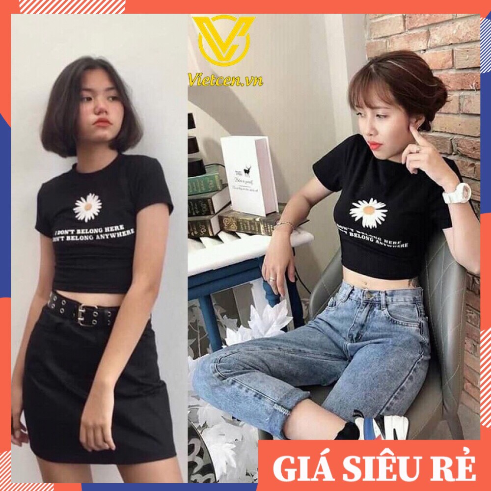 ÁO HOA CÚC CROPTOP