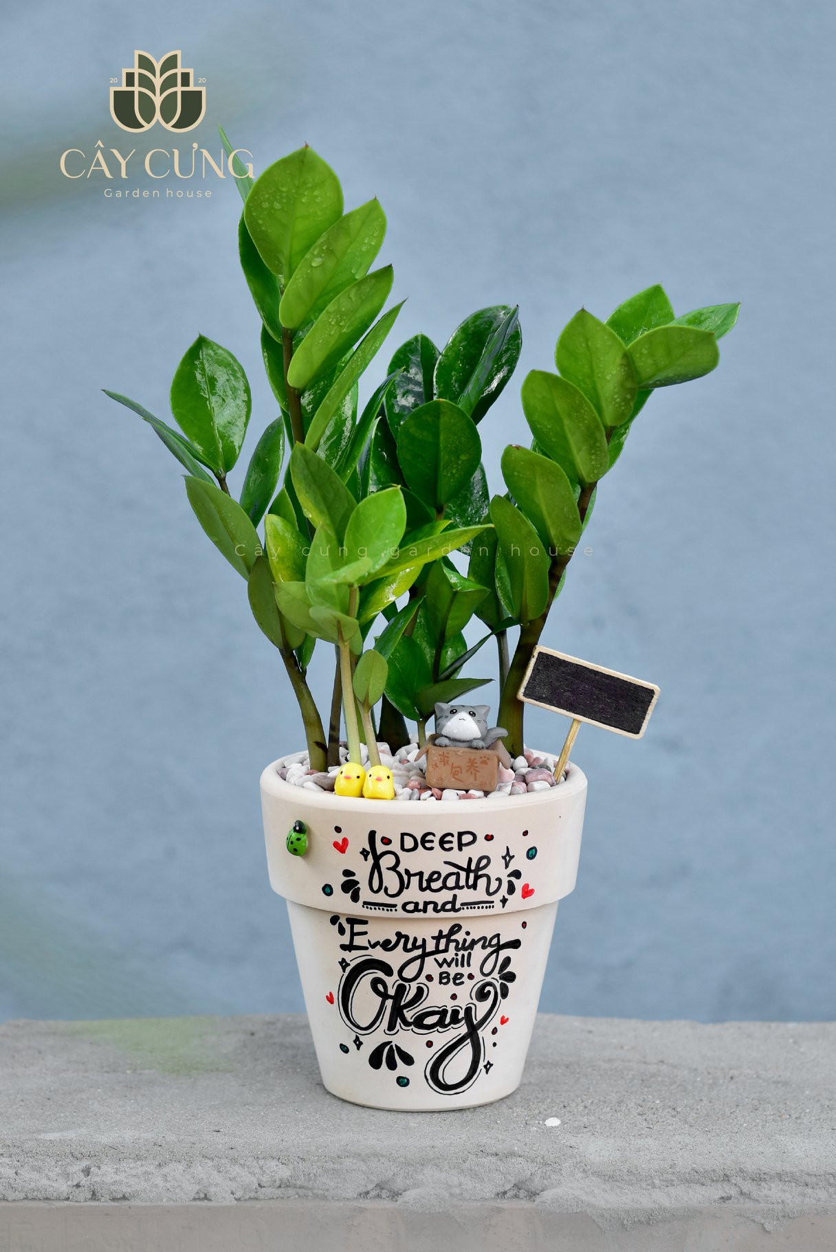 CHẬU ĐẤT NUNG VẼ - Rộng 11cm, Cao 11cm (Chậu đất nung, chậu trồng sen đá, chậu mini, chậu vẽ)