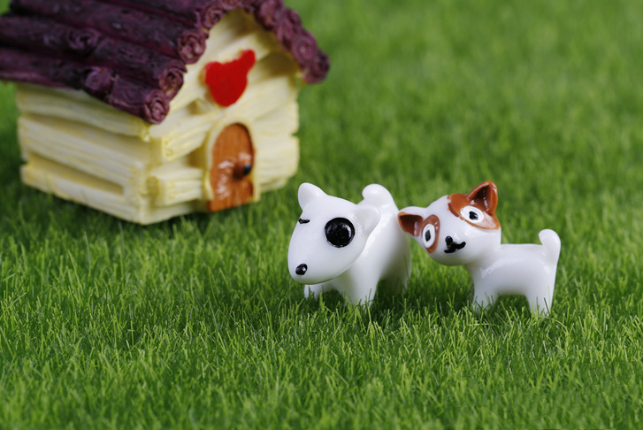 Phụ kiện trang trí tiểu cảnh: mẫu chó mini