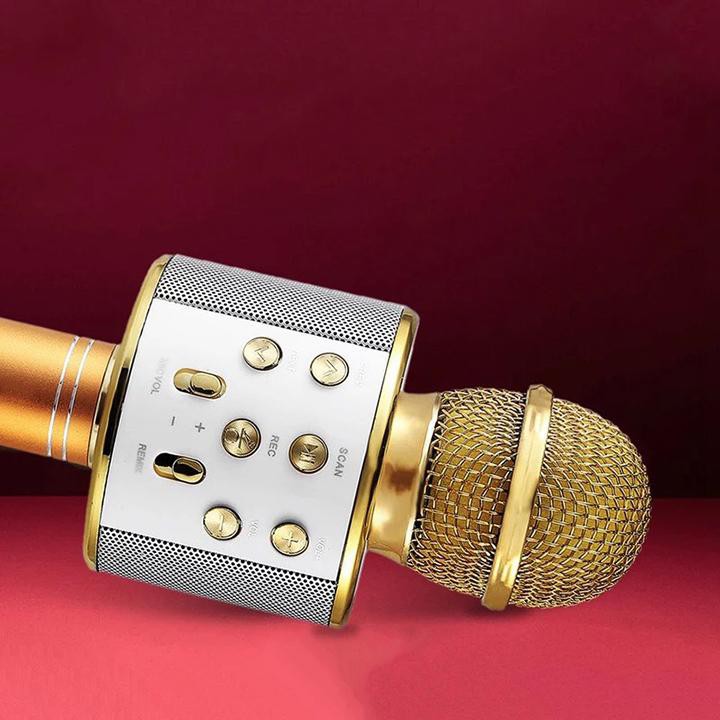 Micro Hát Karaoke Kiêm Loa Bluetooth Không Dây WS 858 Âm Vang