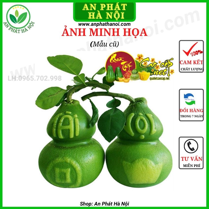 Khuôn Bưởi Hình Hồ Lô 2 bầu khuôn Tạo Hình Trái Cây Tài Lộc dùng cho bưởi
