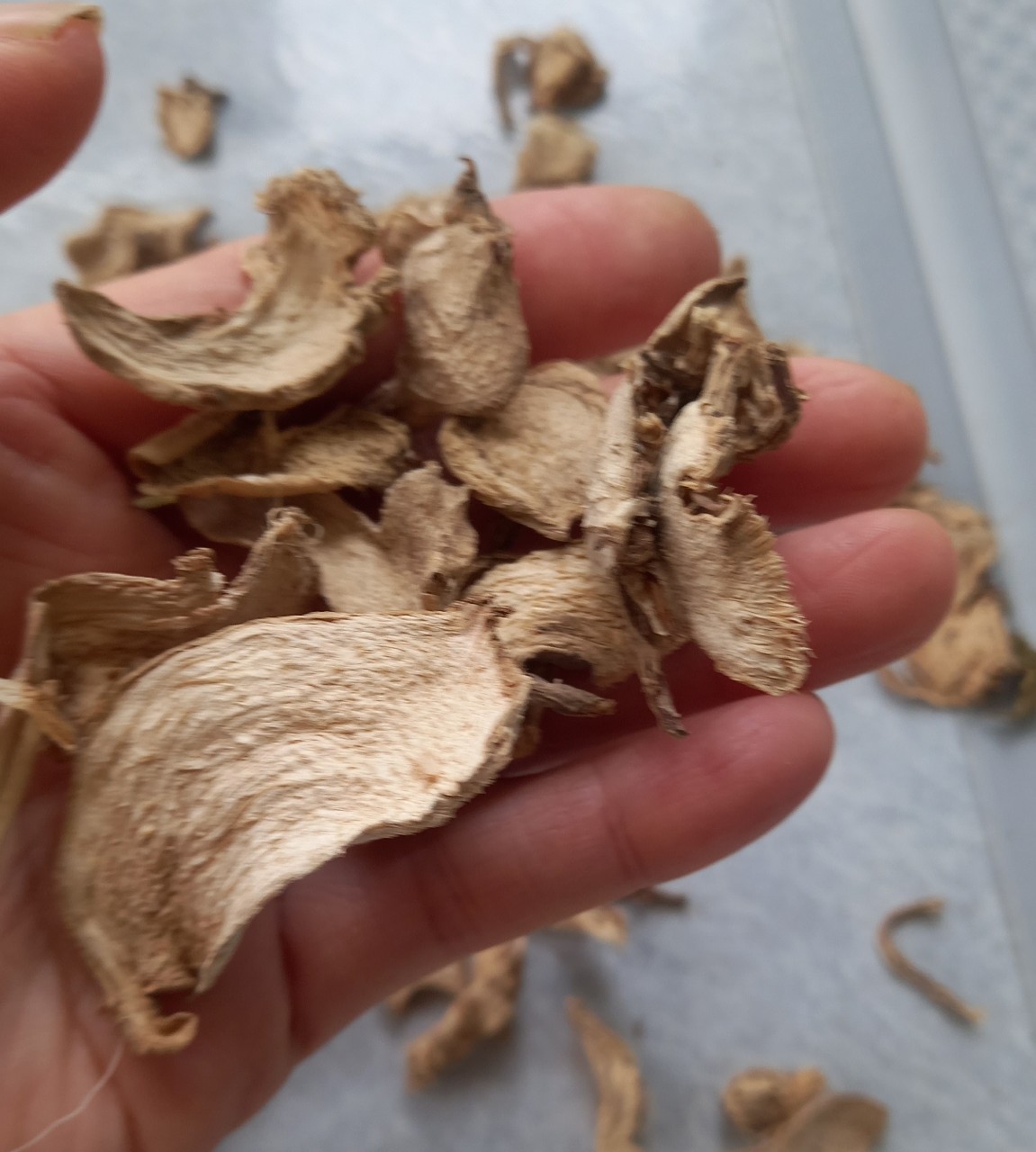 Củ gừng gió lac  kho 500g