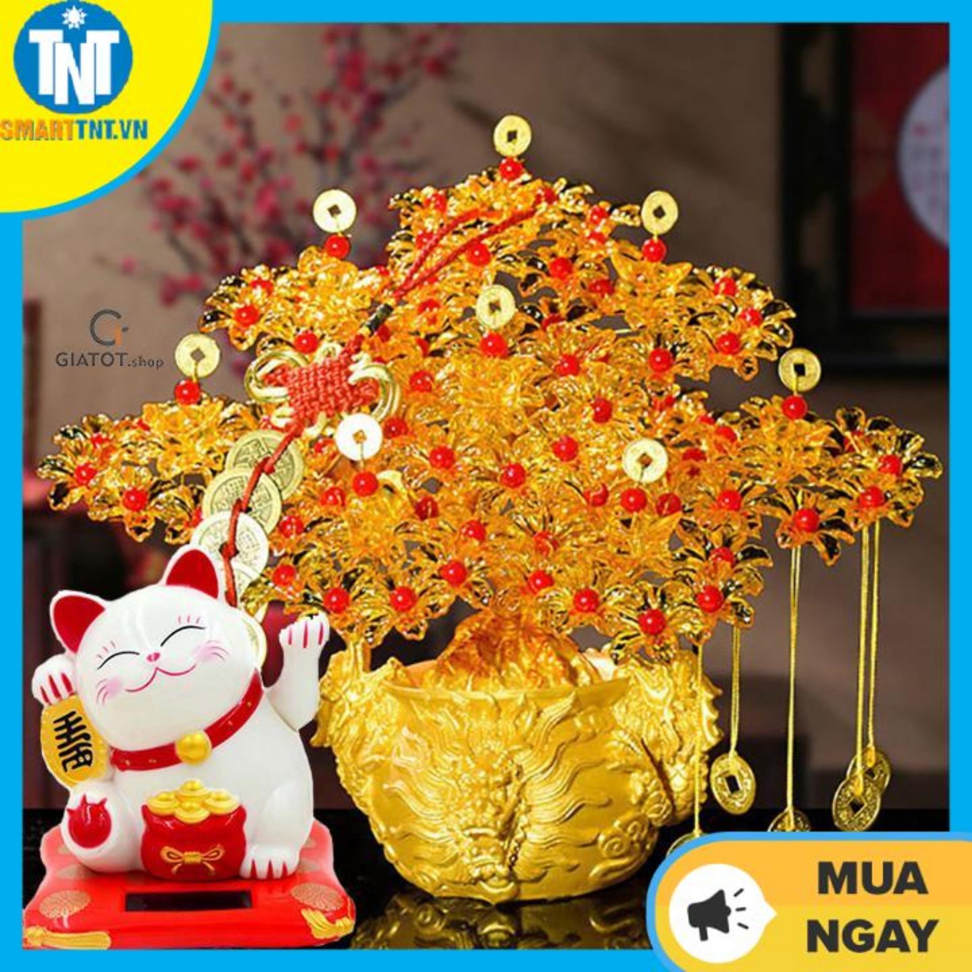 Combo cây kim tiền 7 cành phát tài phát lộc đế đầu rồng và mèo vẫy thần tài năng lượng mặt trời