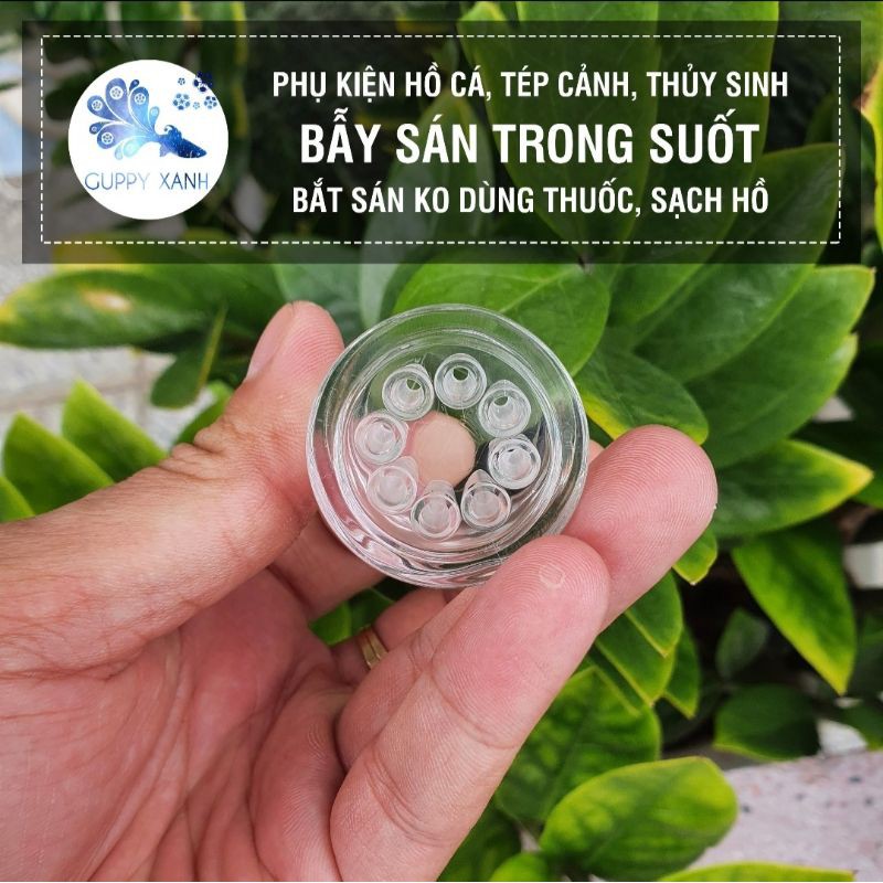 Bẫy Giun Sán Acrylic 8 Lỗ Planaria Trap