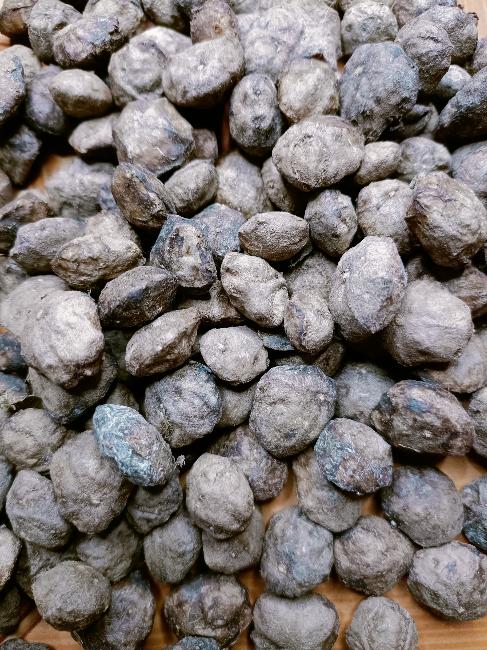 500 gram hạt giống cây sấu