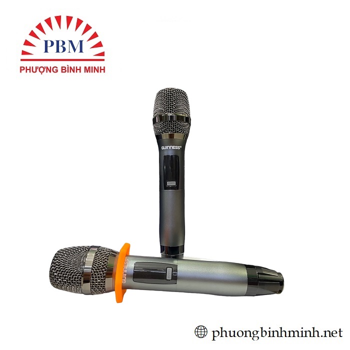 Micro karaOke GUINNESS M-810D