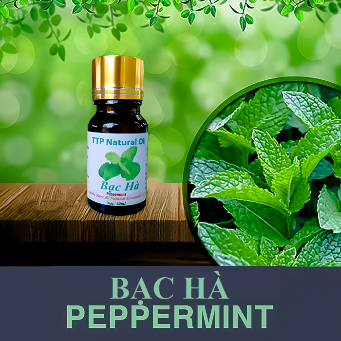 Tinh dầu bạc hà Peppermint