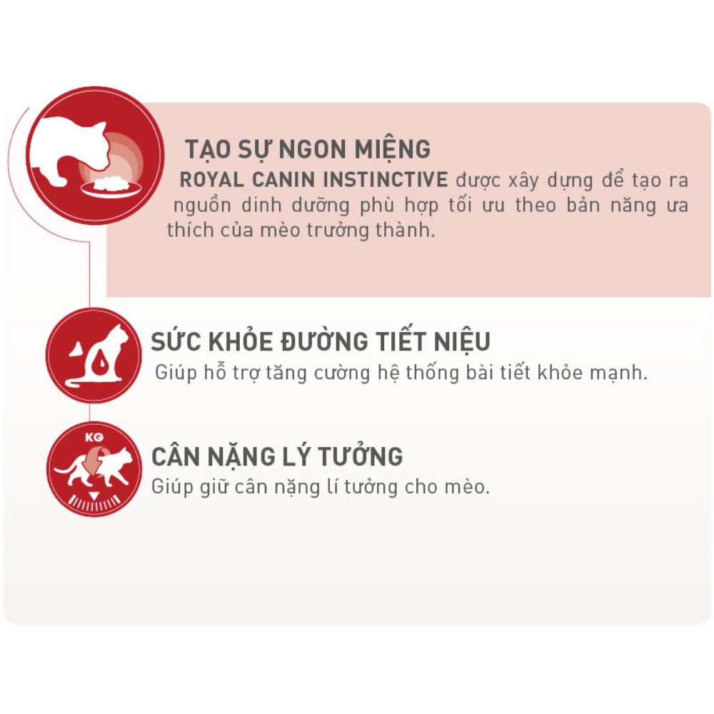 Pate Mèo Lớn Royal Canin Instinctive, Túi 85G