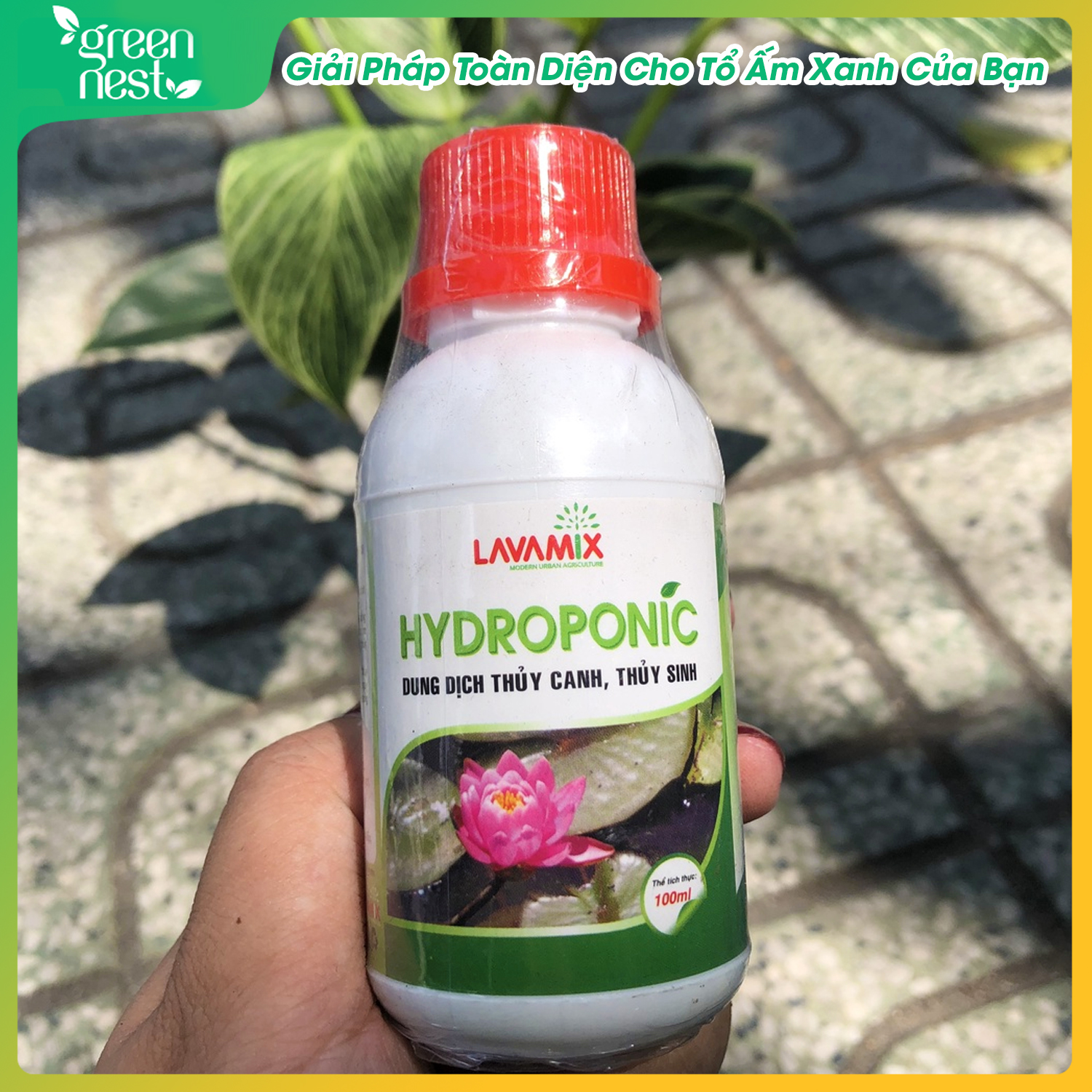 Dung Dịch Phân Bón Thủy Canh Hydroponic 100ml