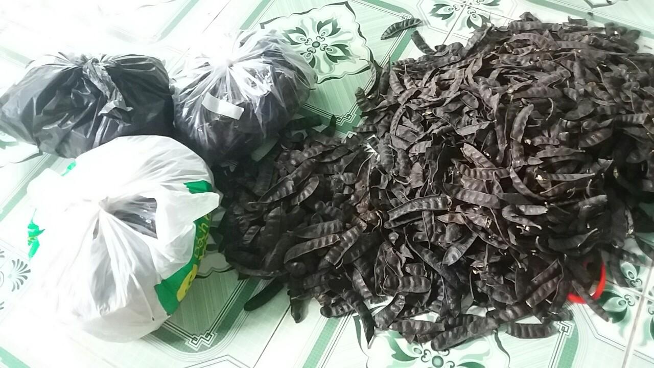 trái bồ kêt khô -500G NƯỚNG