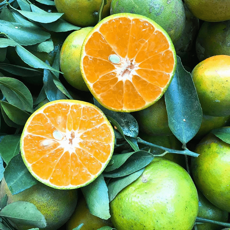 Quýt Đường Túi 1Kg - Grove Fresh