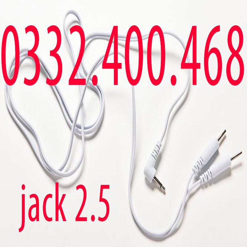 Dây massage điện xung jack 2.5 đầu ghim 1 chia 2