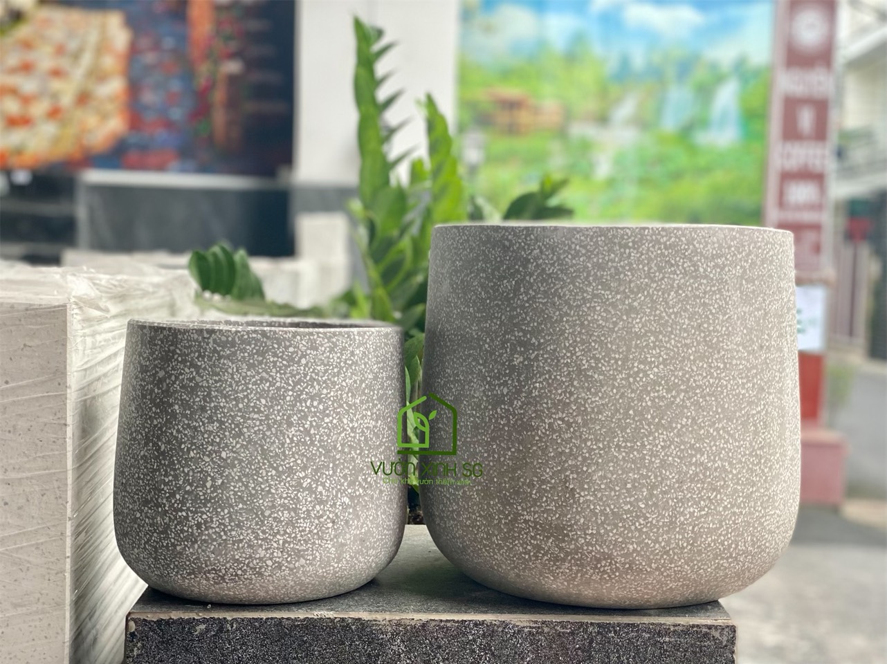 [HCM]Chậu đá mài tròn bầu 24*22