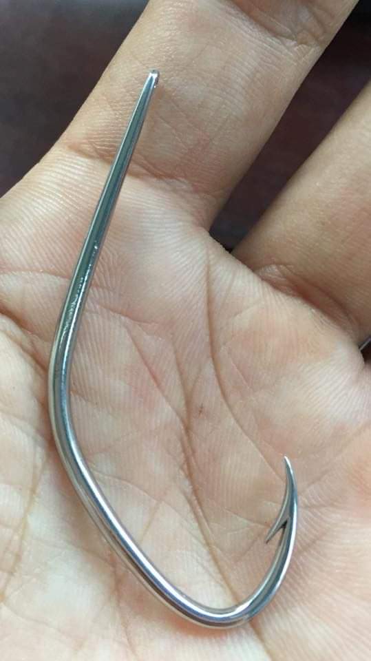 lưỡi câu lóc móng heo