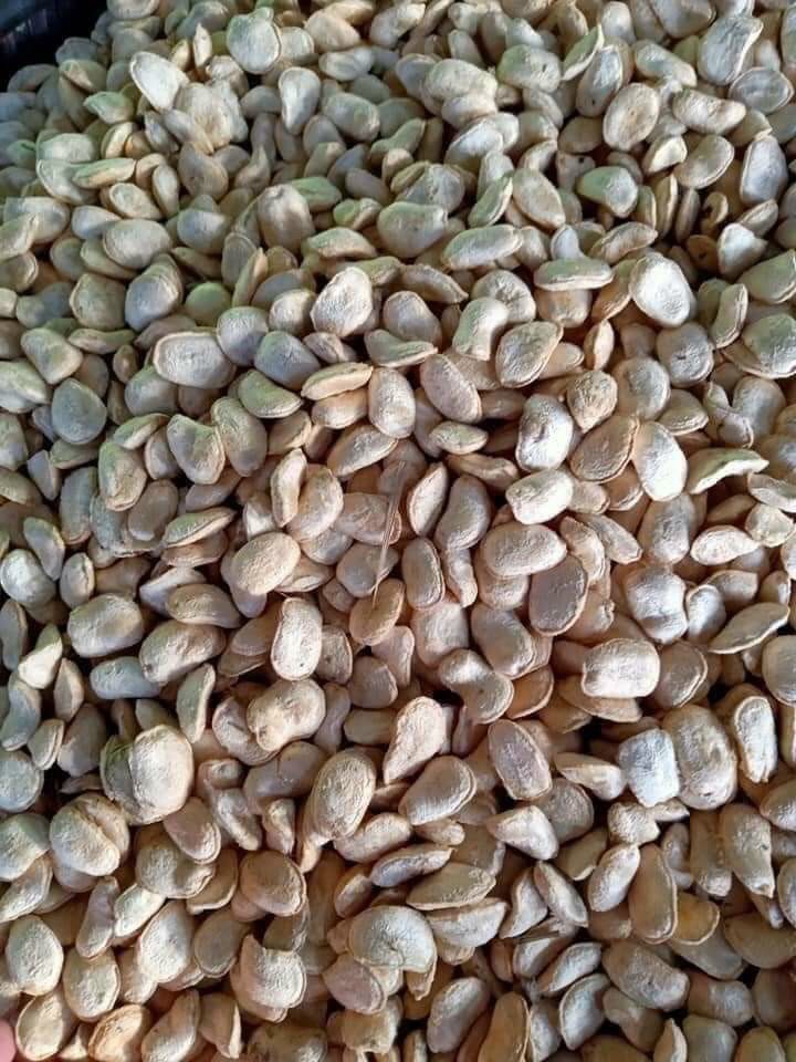 Com bo 100 hạt Sang ( hạt trắng )
