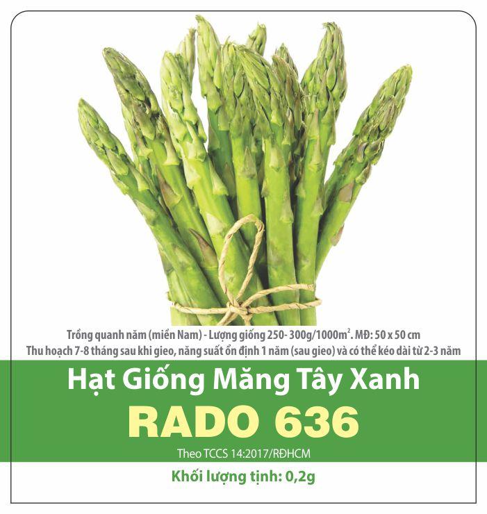 Hạt giống măng tây xanh dễ trồng thu hoạch quanh năm