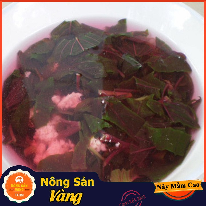 [HCM]Hạt giống Rau Dền Đỏ ( Gói 20 Gram ) - Nông Sản Vàng