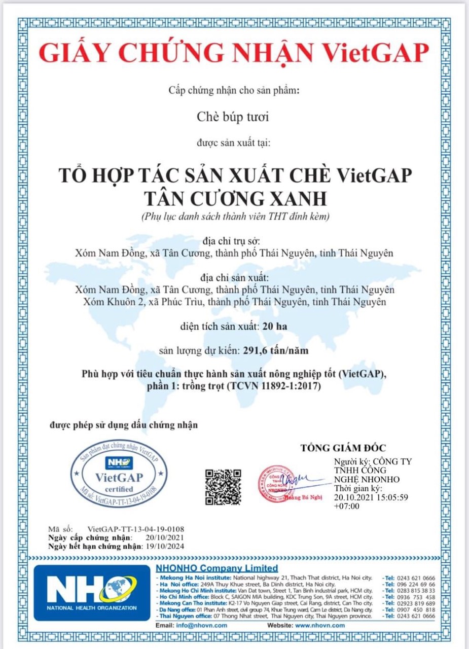Bột Trà Xanh 100gr TÂN CƯƠNG XANH