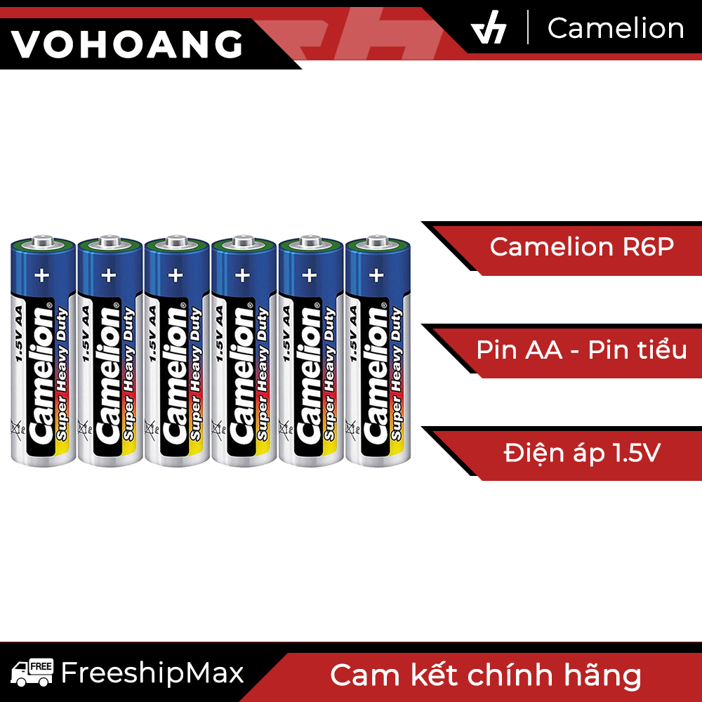 6 pin camelion aa r6p không sạc