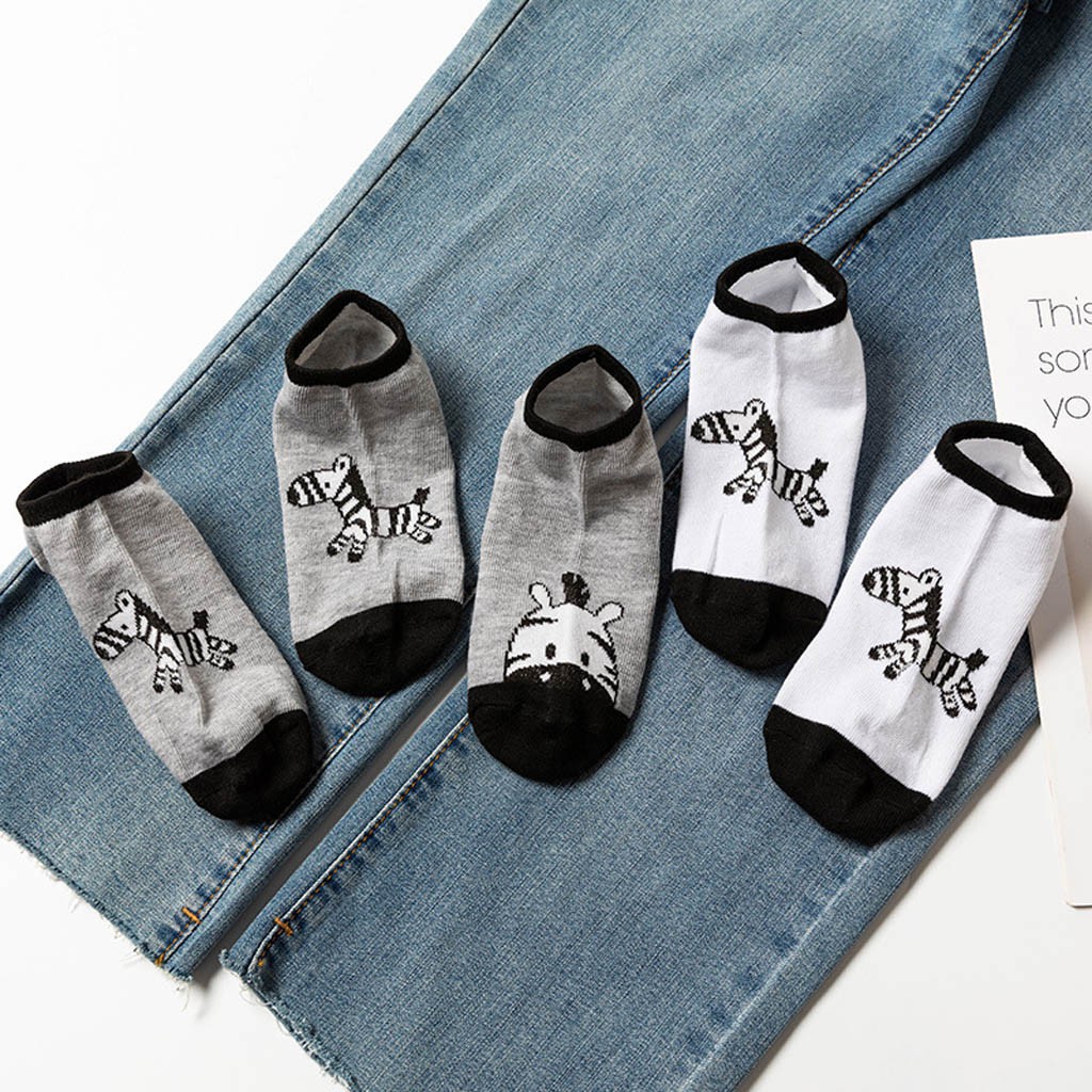 [Set Tất Vớ Nữ 5 Đôi] Tất Vớ Nữ Thun Cotton Con Lừa Buta TN02