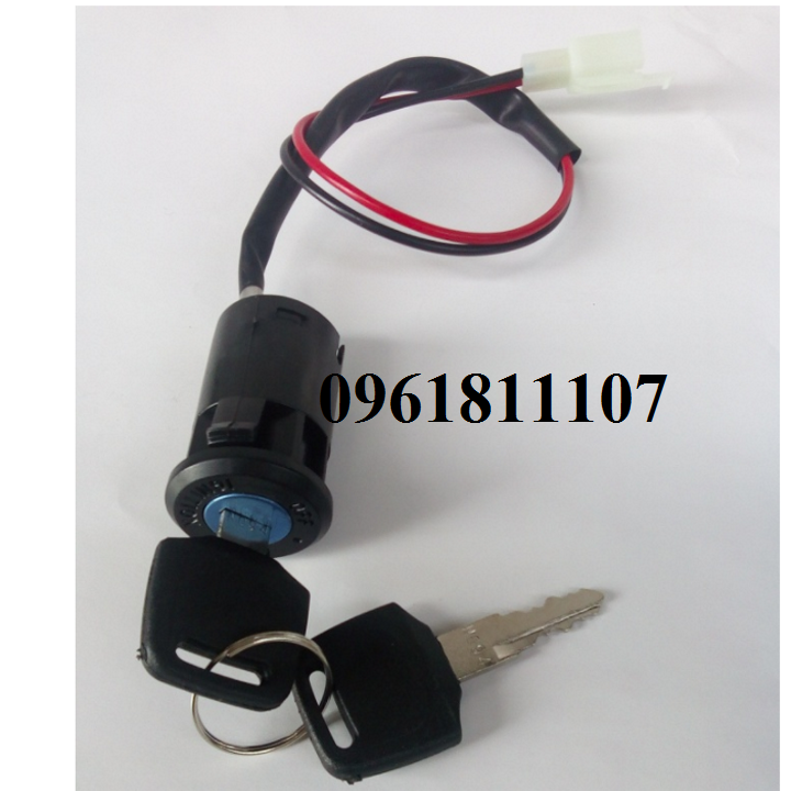Combo chế xe điện 12V 250W chân ga