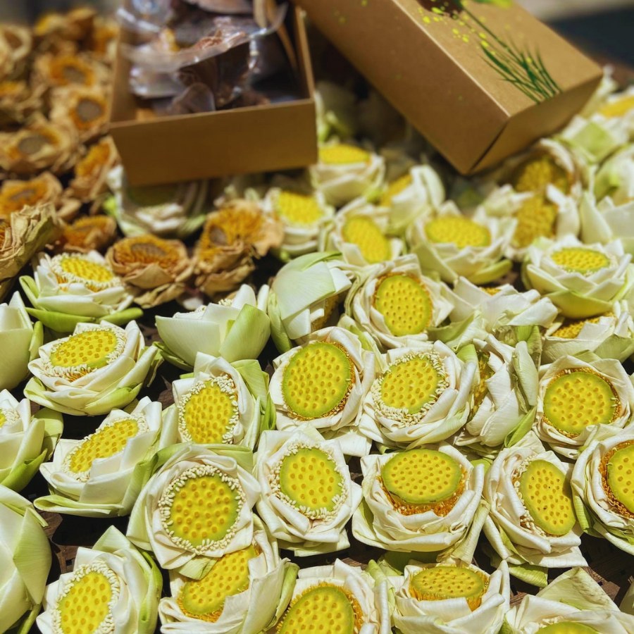 BẠCH LIÊN NGỰ TRÀ SEN HUẾ - Hộp 5 hoa