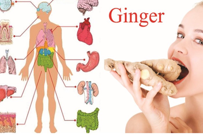 TRÀ GỪNG NGUYÊN CHẤT 50G
