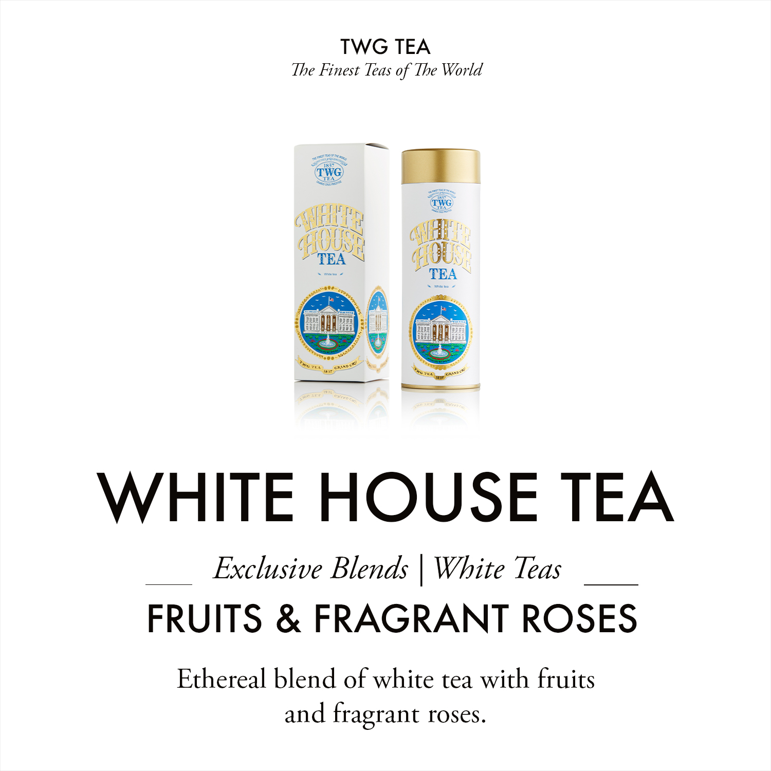 Trà TWG Tea - White House Tea (75g) | Trà Trắng