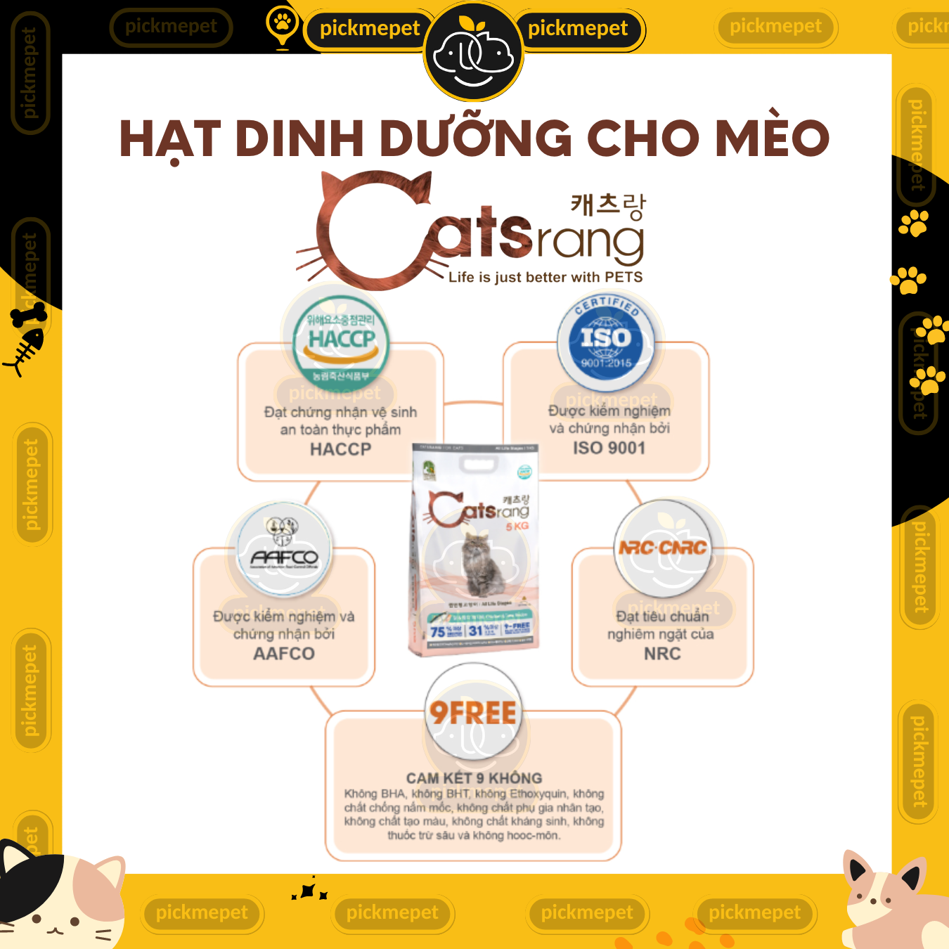 Hạt Catsrang Cho Mèo Mọi Lứa Tuổi 5kg
