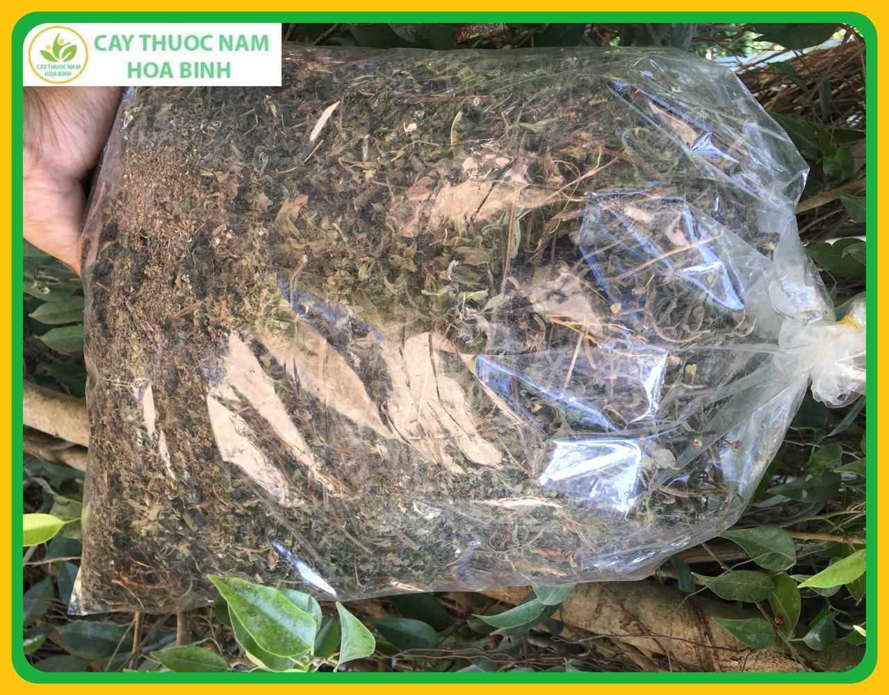 1kg cỏ mực nhọ nồi (cành lá khô, sạch, mới)
