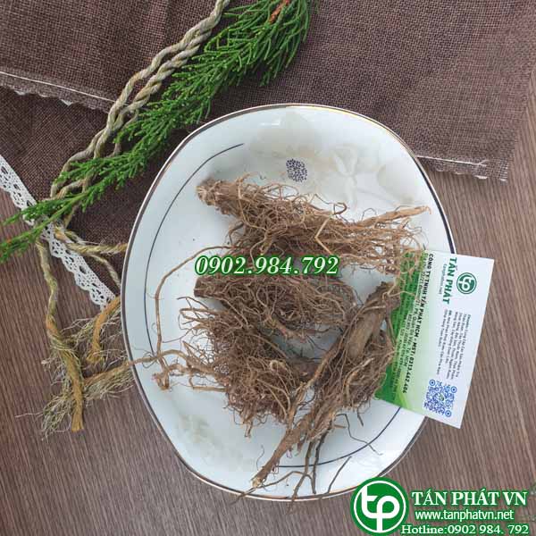 [Túi lớn loại 1kg] Rễ bồ công anh Tấn Phát - Hỗ trợ thanh nhiệt và giải độc
