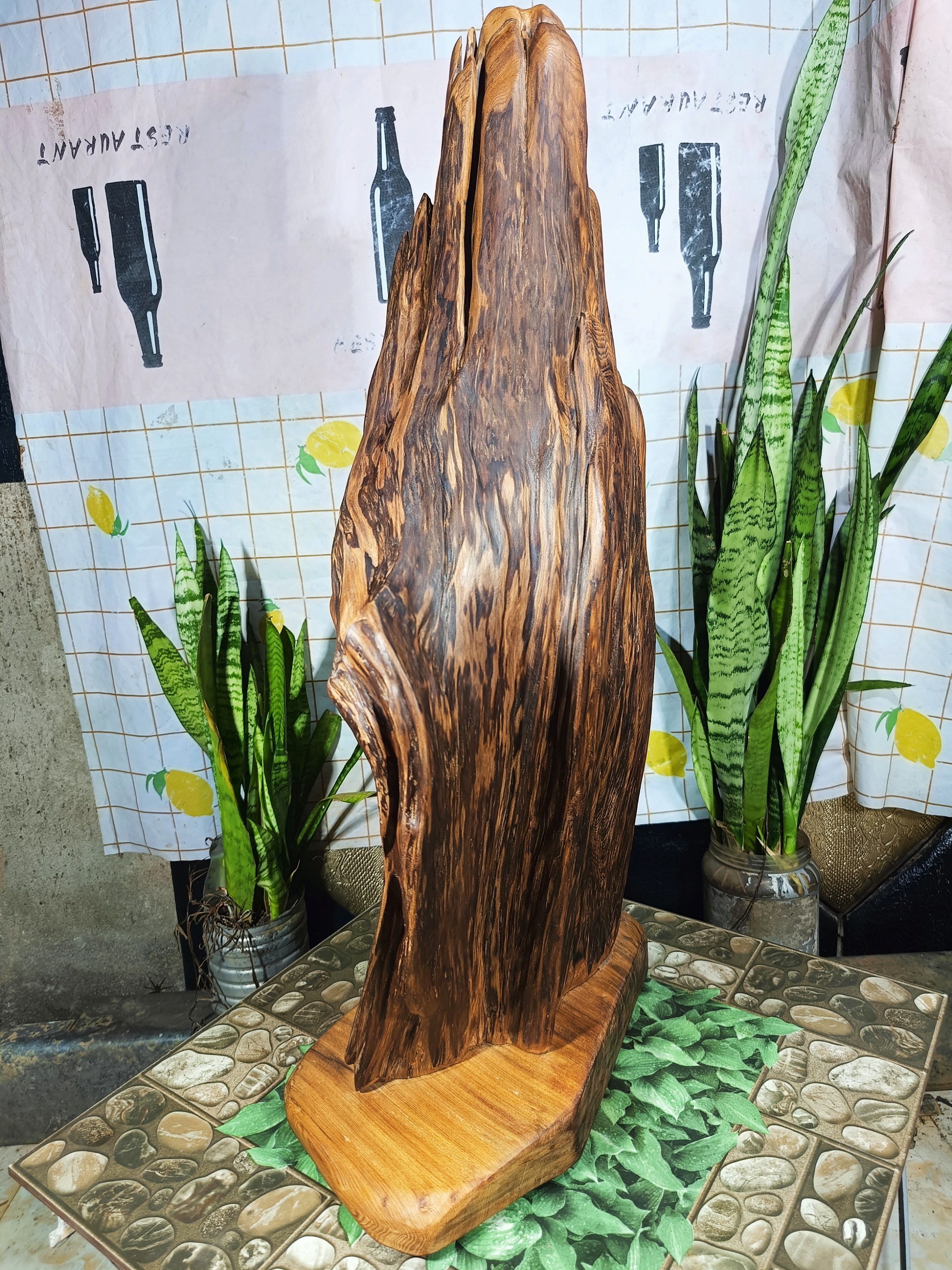 lũa gỗ thơm ngọc am đỏ hà giang, dáng phiêu