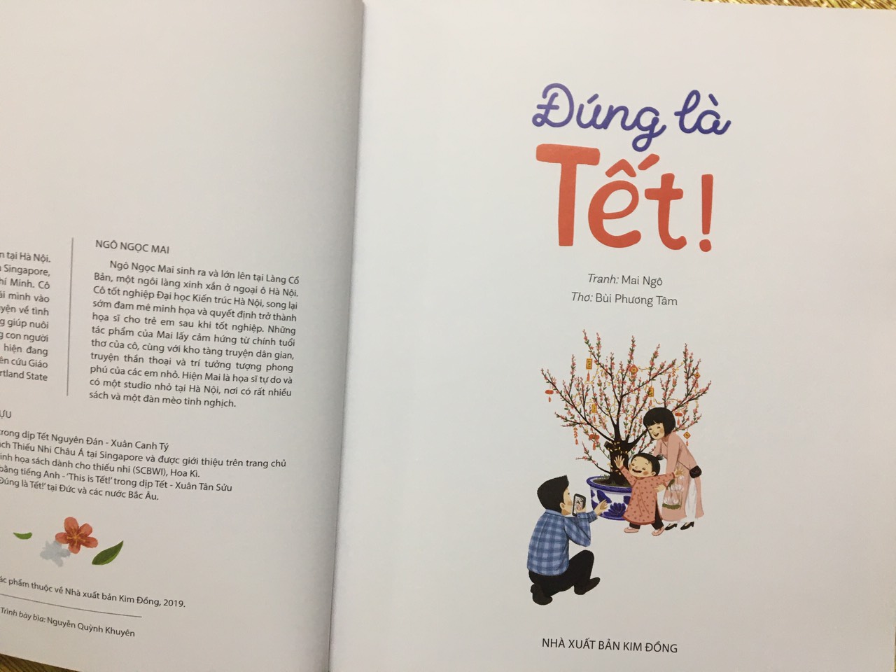 Sách - Đúng là Tết ! - Kim Đồng