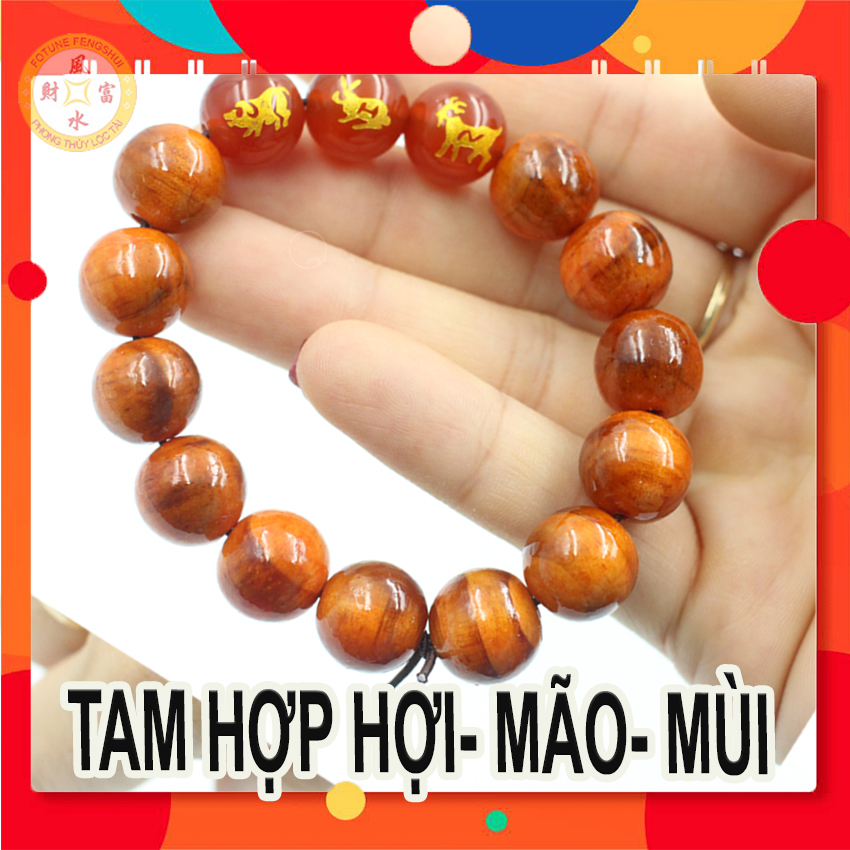 Vòng Tam hợp Hợi - Mão - Mùi