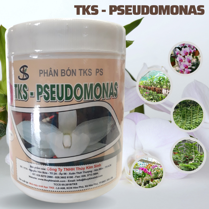 [ BỘ ĐÔI] TRICHODERMA Và PSEUDOMONAS Hoa Lan