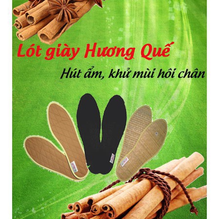 lót giày hương quế size 38