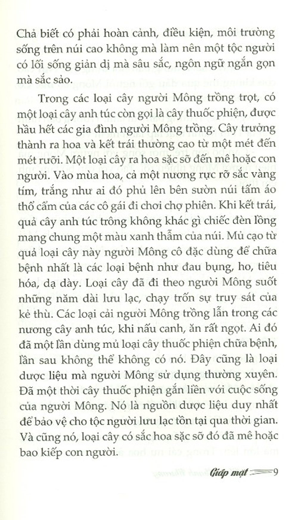 Giáp Mặt - Tiểu Thuyết