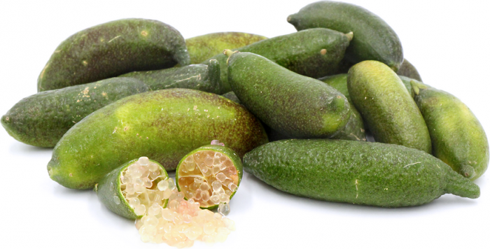 CÂY GIỐNG TRANH TRỨNG CÁ HỒI  (CHANH NGÓN TAY ÚC)