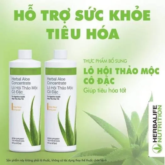 Lô hội thảo mộc cô đặc hương quýt