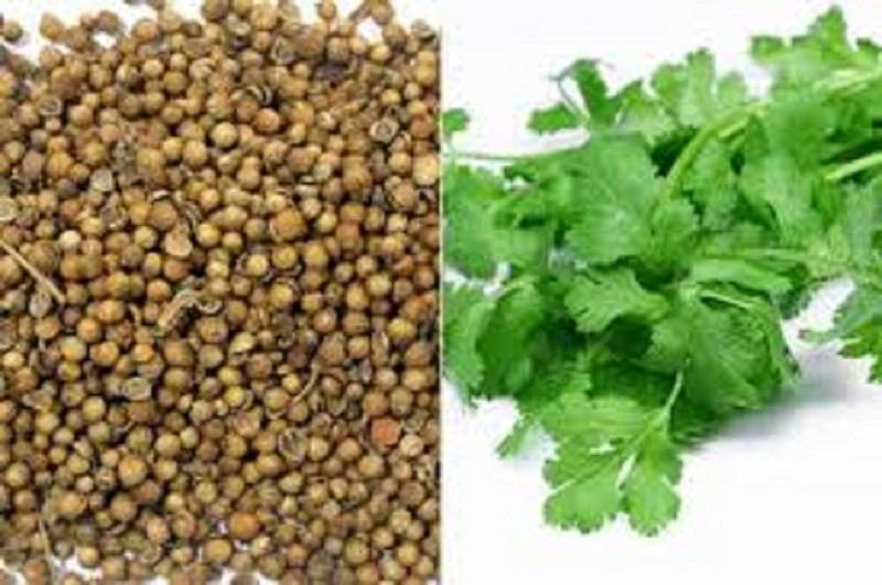 1kg Hạt Mùi -  (Hạt Rau Mùi)  Có Tặng Quà