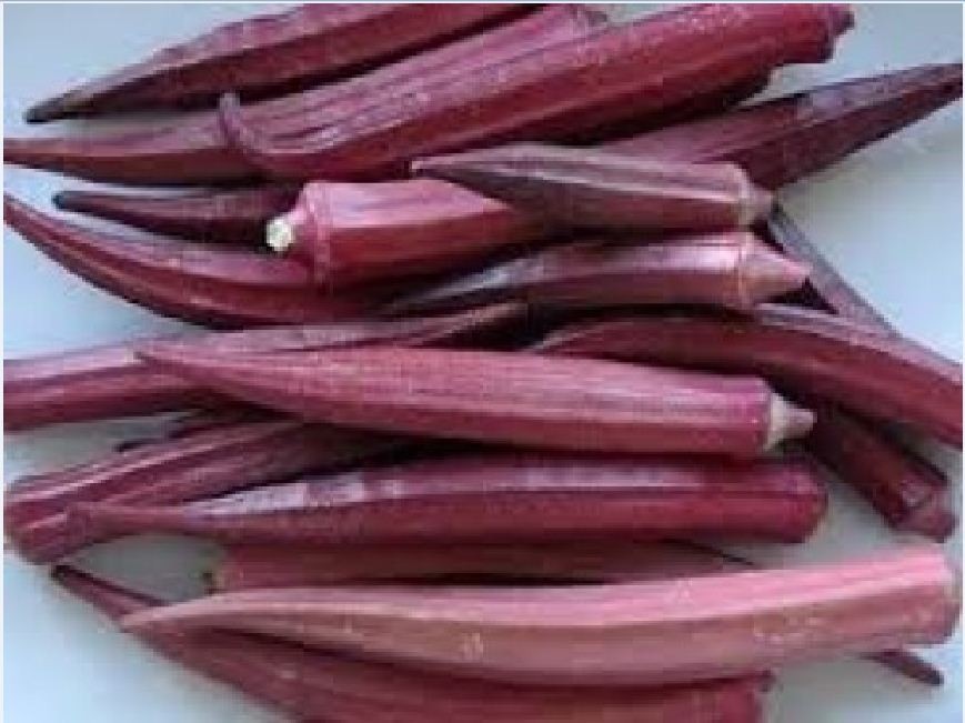 Hạt giống Đậu Bắp Đỏ Cao Sản - Gói 5gram